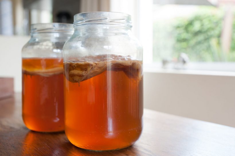 Kombucha 101 – What is it & How to Make it at Home?