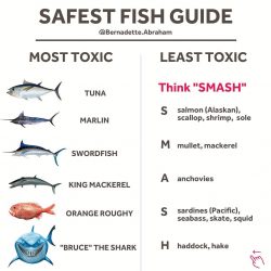 Safest Fish Guide