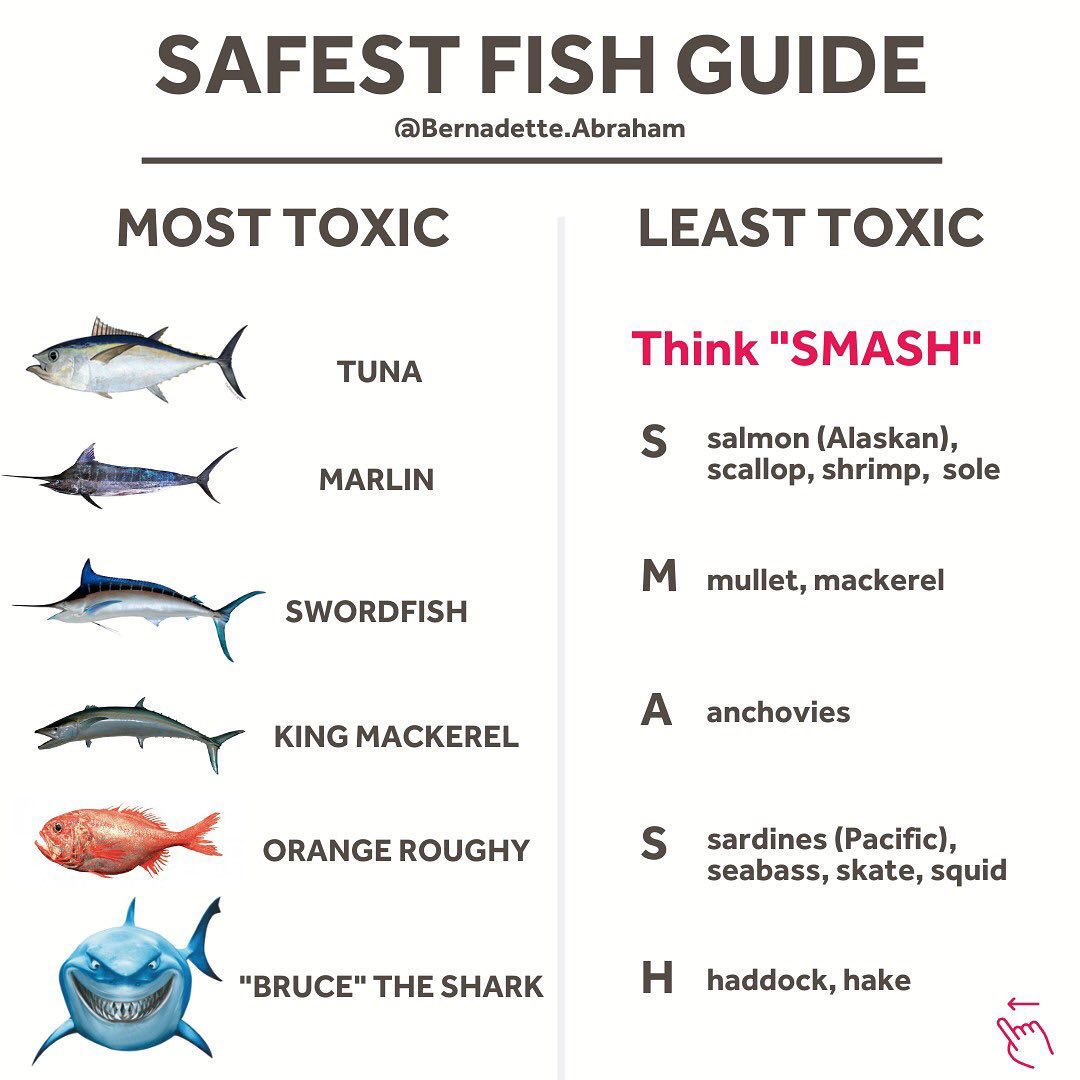 Safest Fish Guide Bernadette Blog