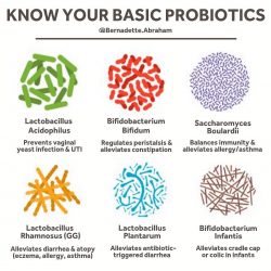 Your Probiotics Guide 101