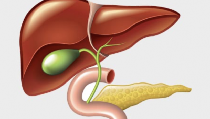 Liver & Gallbladder Health