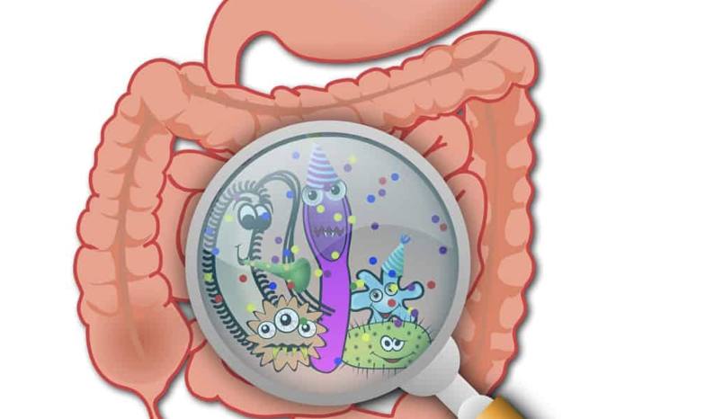 Is Leaky Gut Real?