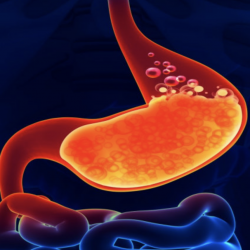 The Importance of Stomach Acid